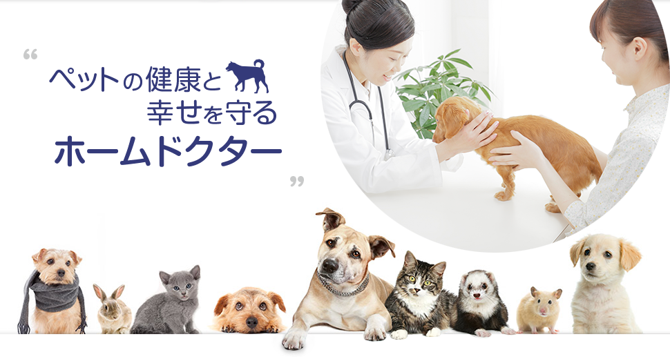 ペットの健康と幸せを守るホームドクター